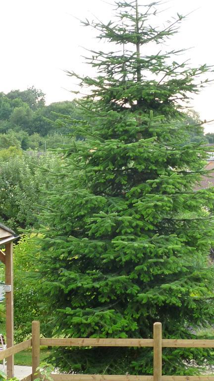 Ferienwohnung Hopewell Self-Catering Gravesend Exterior foto